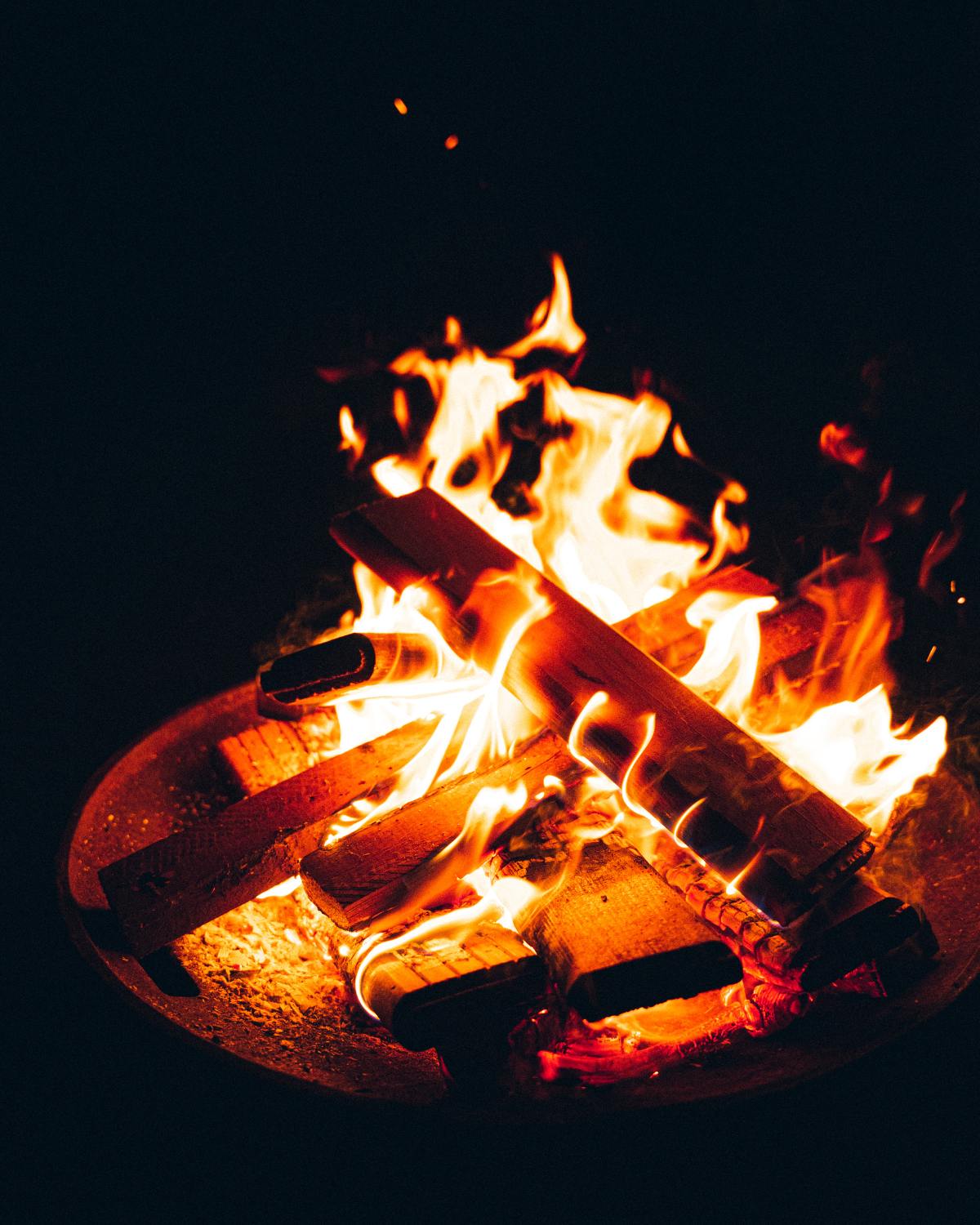fire-pit-photo-bearded-dragon