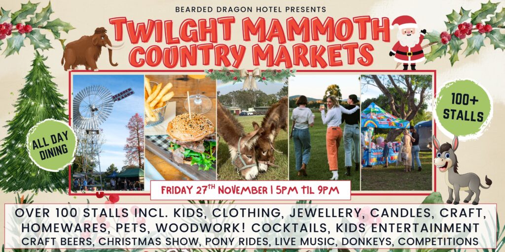 Twilight Mammoth Country Markets Christmas market event at Bearded Dragon Hotel Tamborine